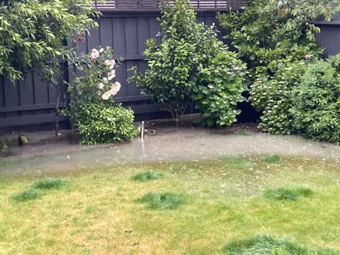 Flooding, a report photo