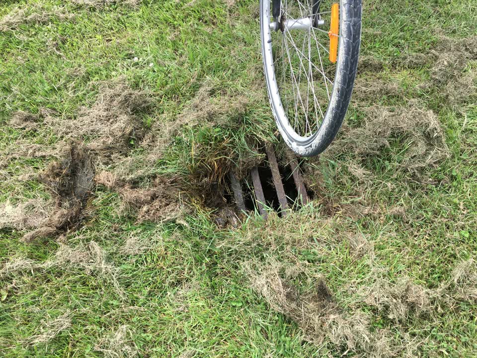 The photograph attached to this parks report