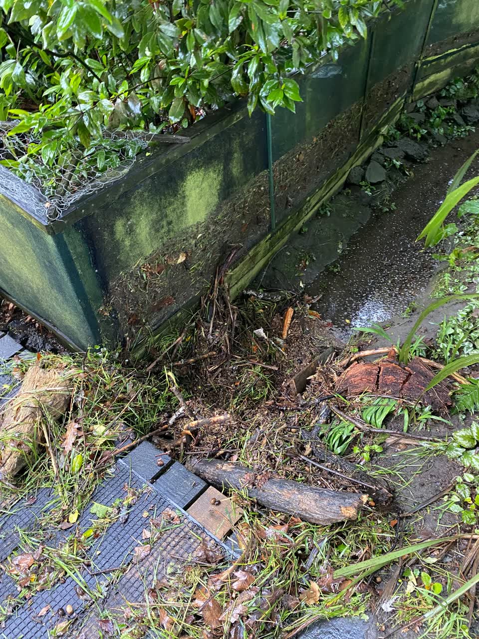 The photograph attached to this parks report