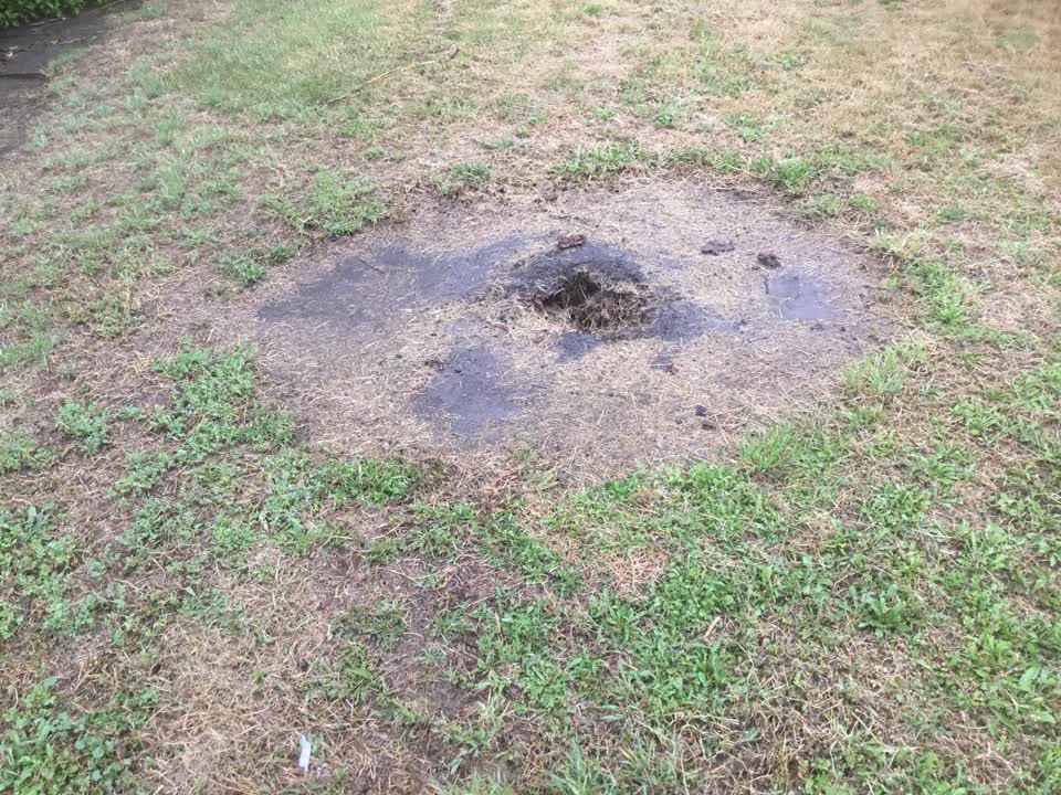 The photograph attached to this parks report