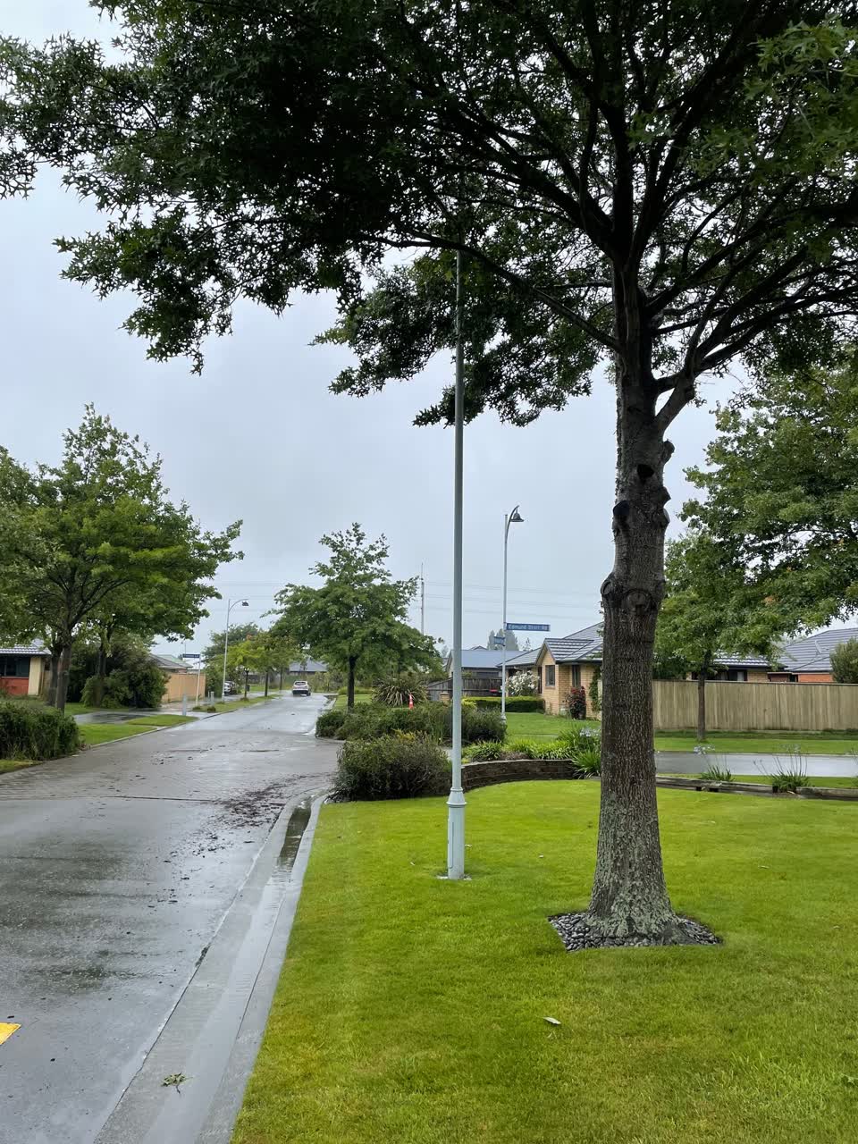 The photograph attached to this street light outage report