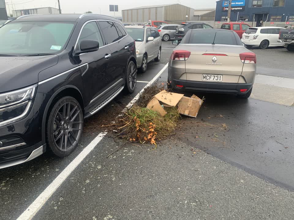 The photograph attached to this rubbish/recycling report