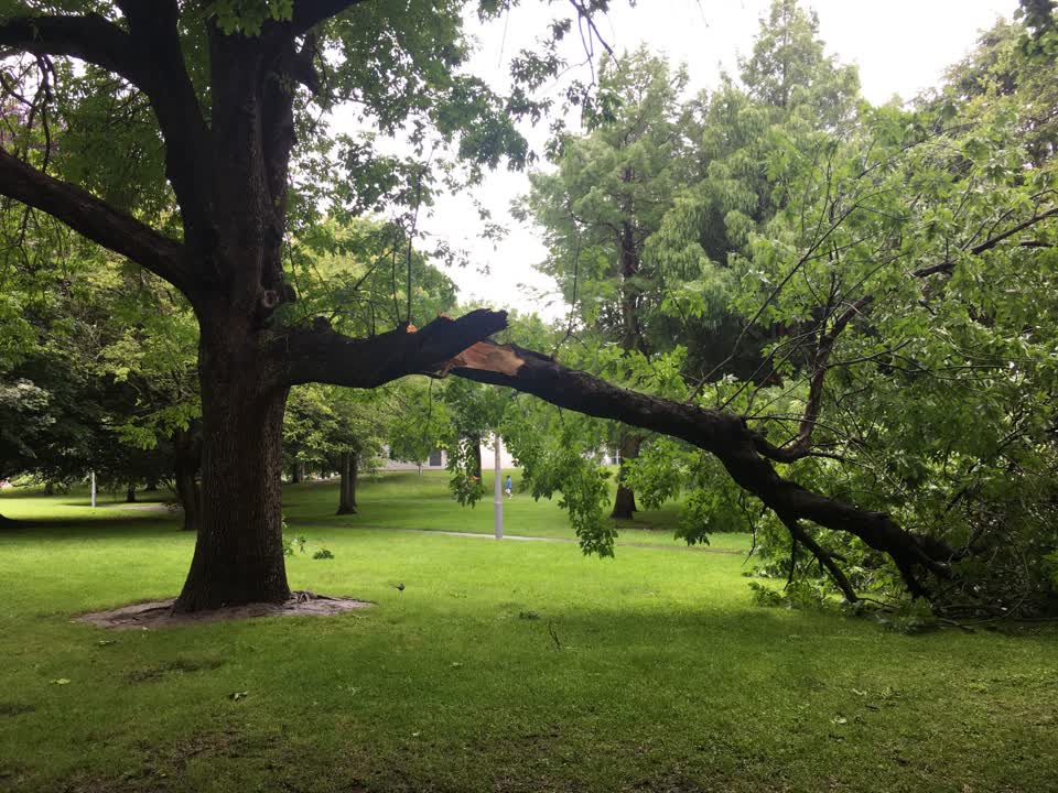 The photograph attached to this parks report