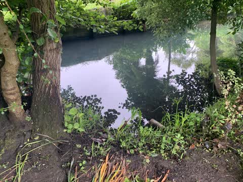 Wastewater/Stormwater, a report photo