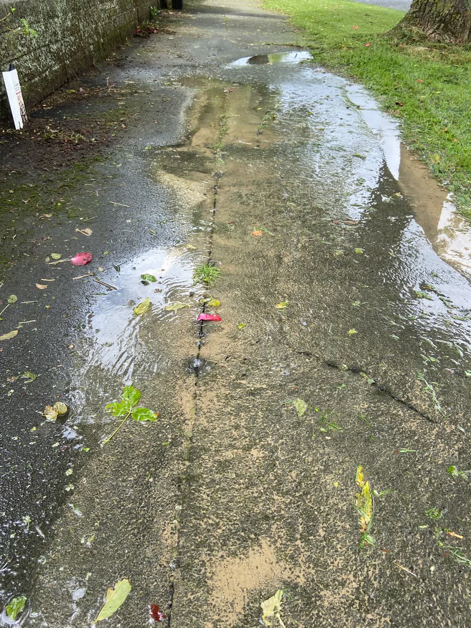 The photograph attached to this water leak report