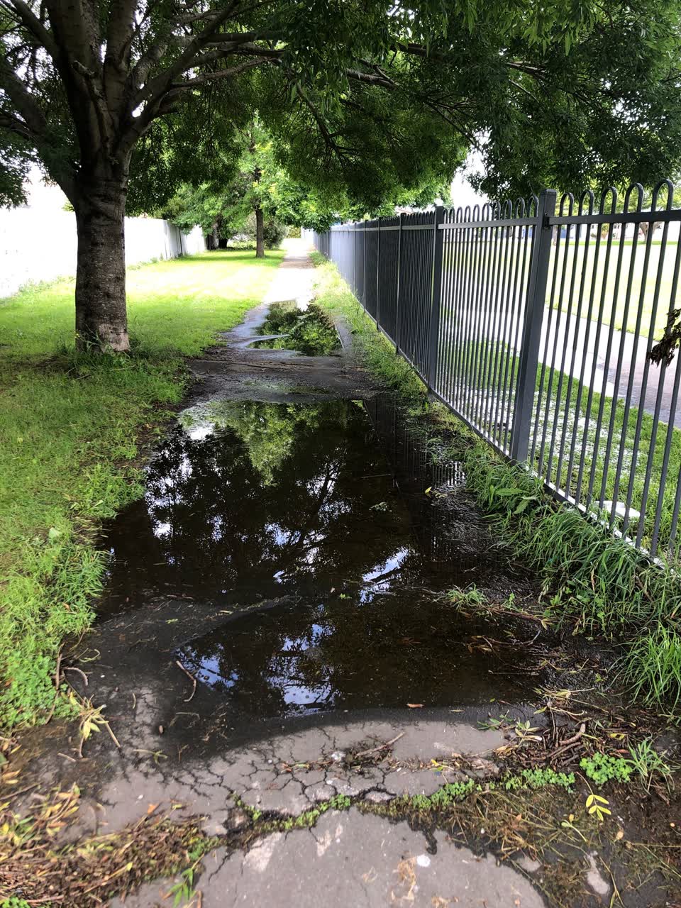 The photograph attached to this parks report