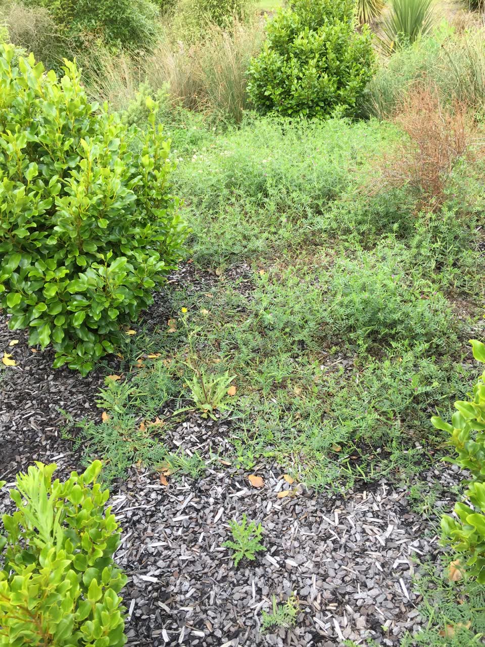 The photograph attached to this parks report