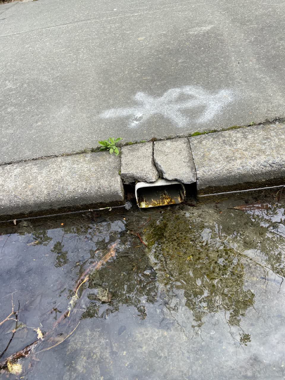 The photograph attached to this water leak report