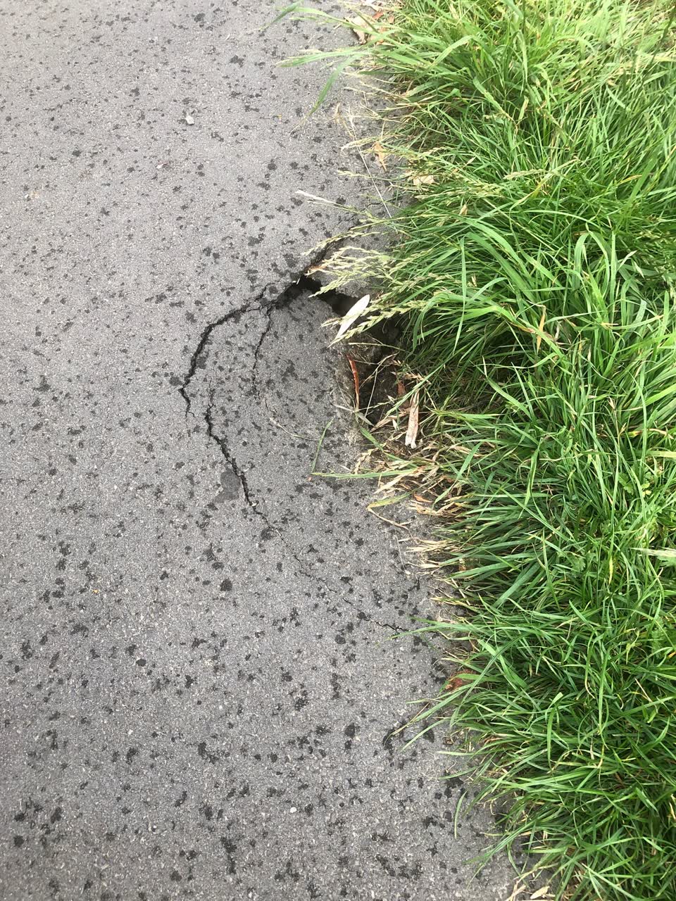 The photograph attached to this roading/streets report