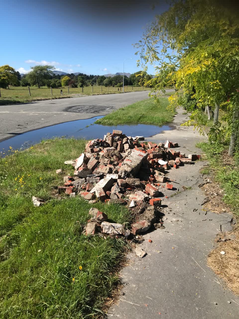 The photograph attached to this parks report