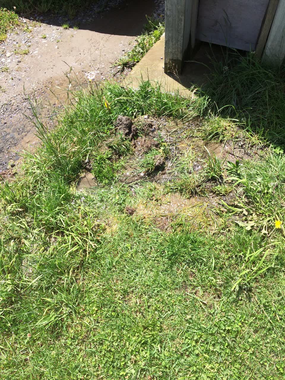 The photograph attached to this water leak report