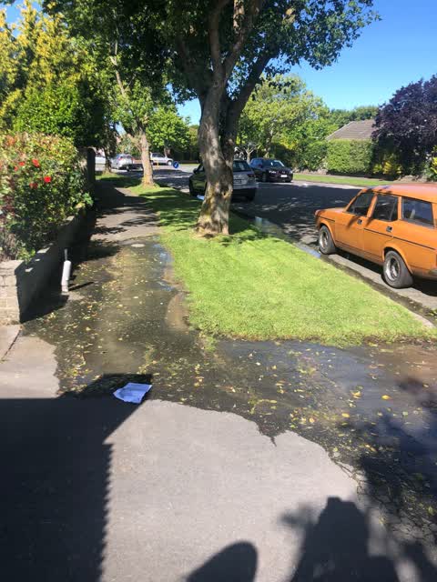 Water Leak, a report photo