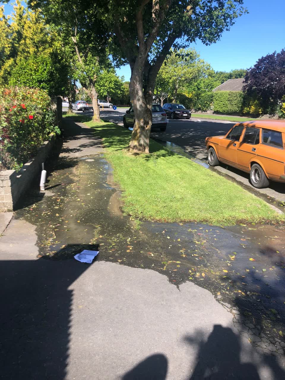 The photograph attached to this water leak report