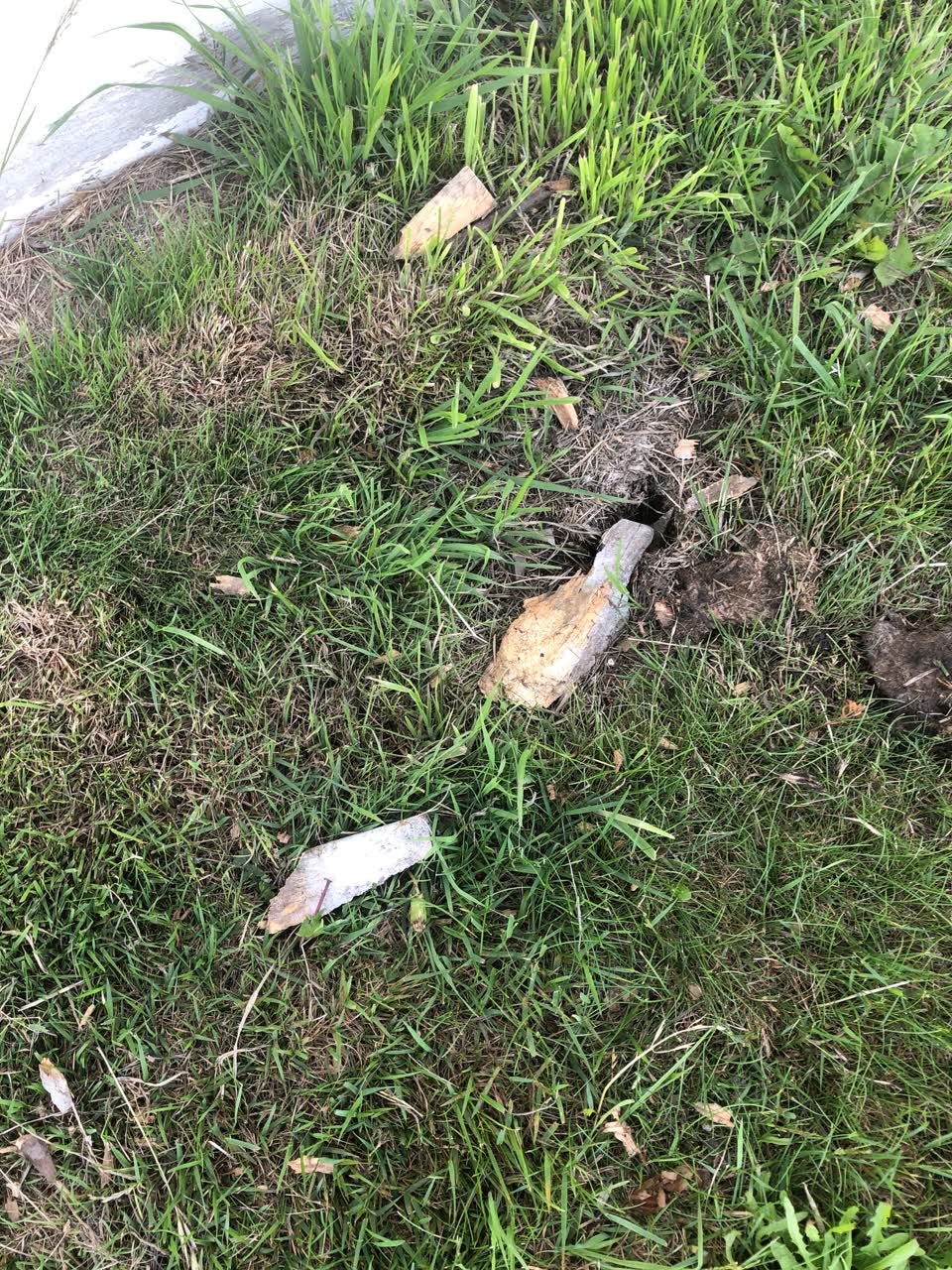 The photograph attached to this parks report