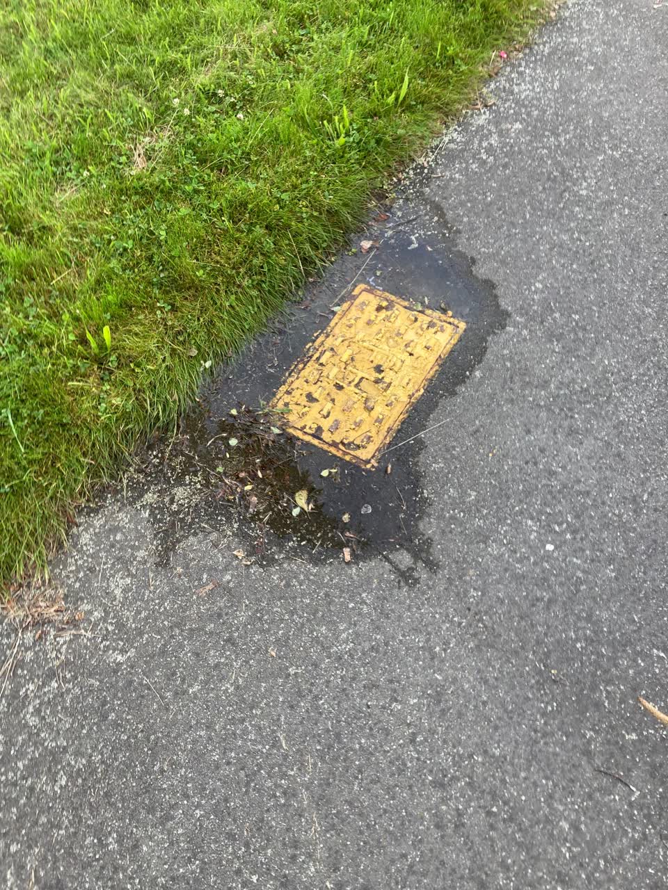 The photograph attached to this water leak report