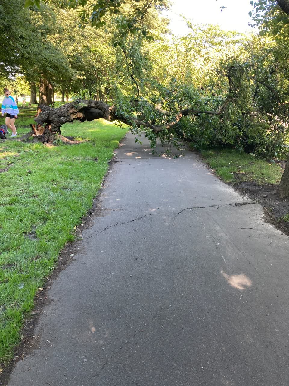 The photograph attached to this parks report