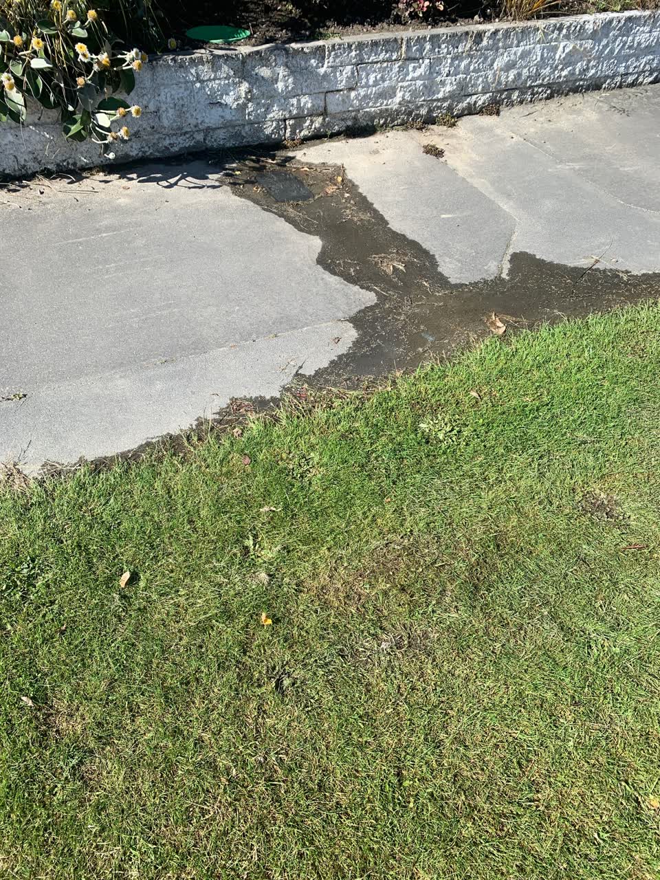 The photograph attached to this water leak report