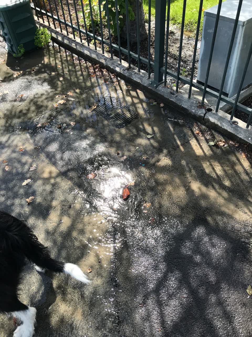 The photograph attached to this water leak report