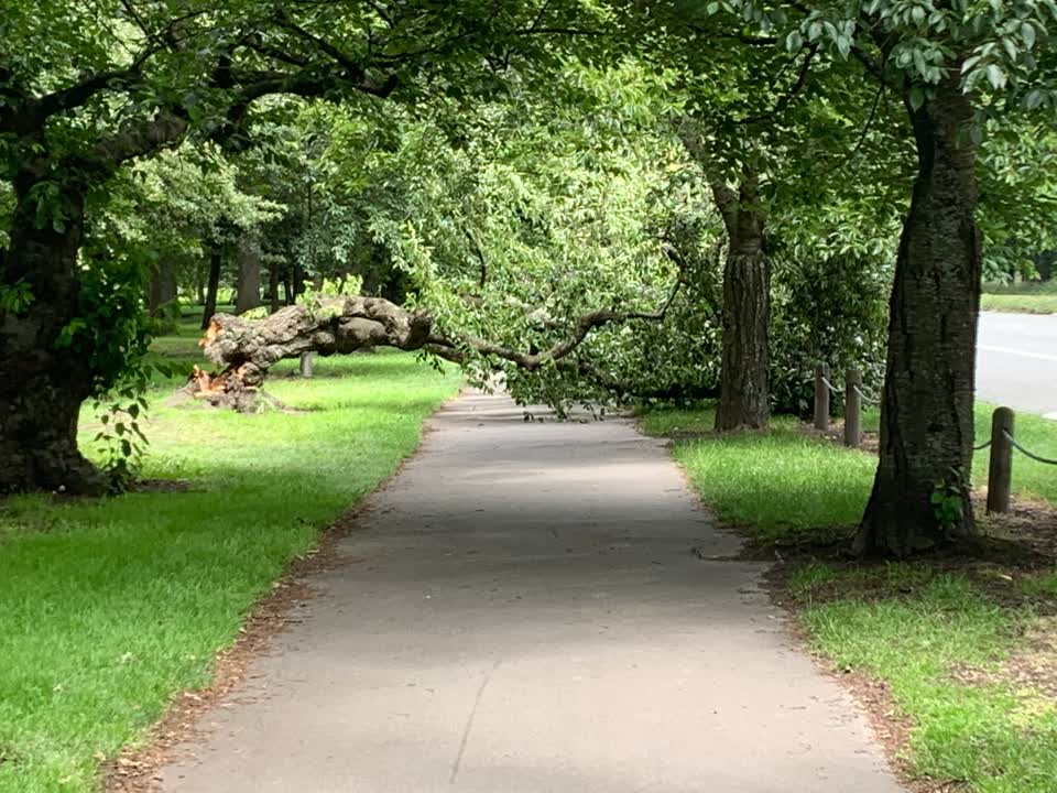 The photograph attached to this parks report