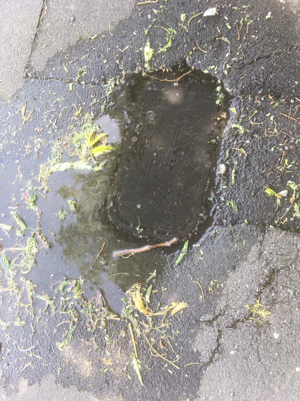 The photograph attached to this wastewater/stormwater report