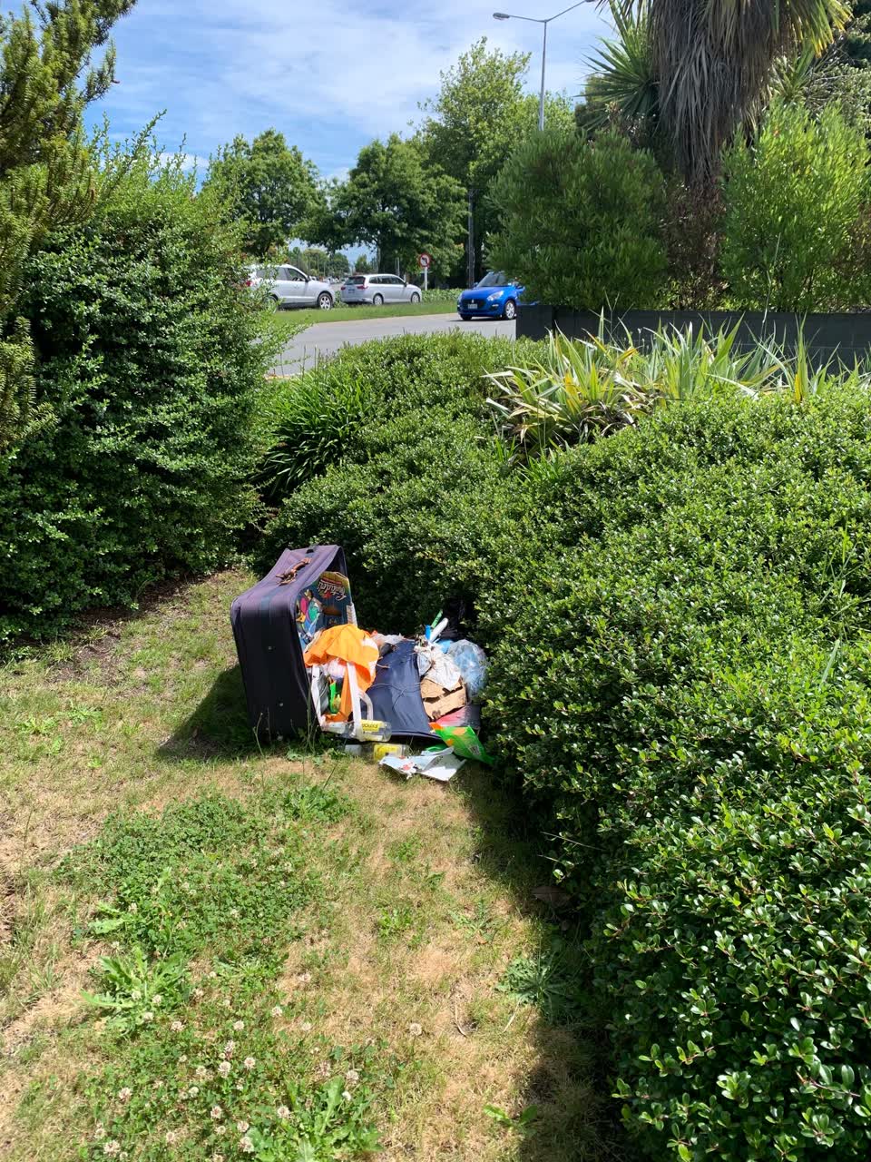 The photograph attached to this rubbish/recycling report