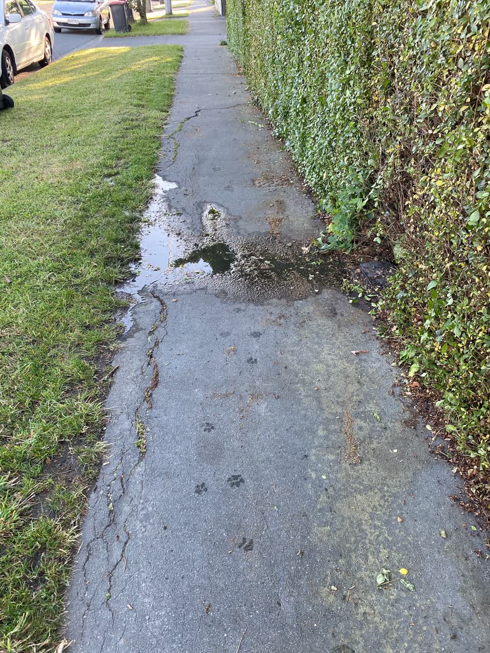 The photograph attached to this water leak report