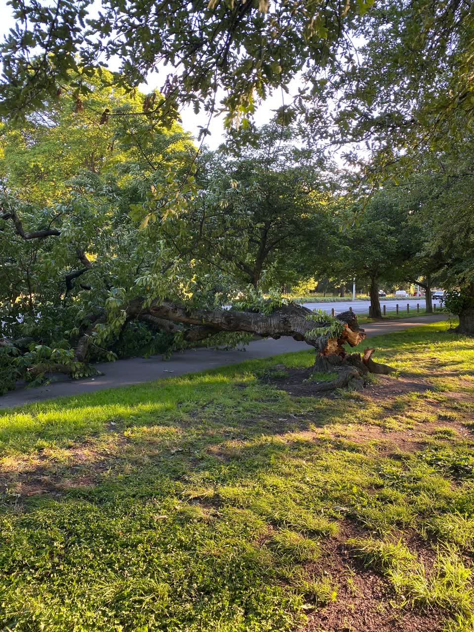 The photograph attached to this parks report