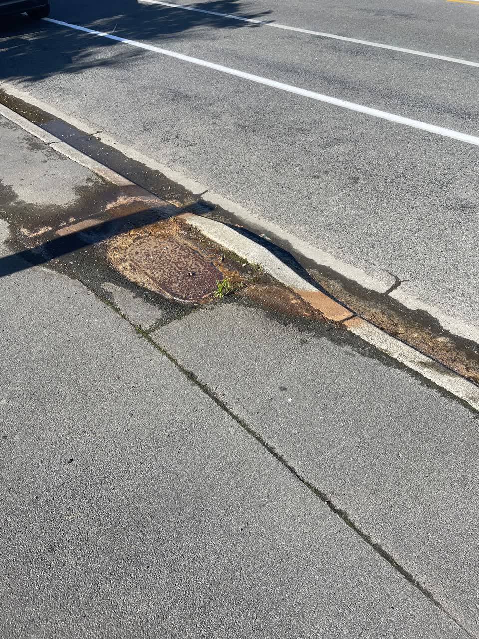 The photograph attached to this water leak report