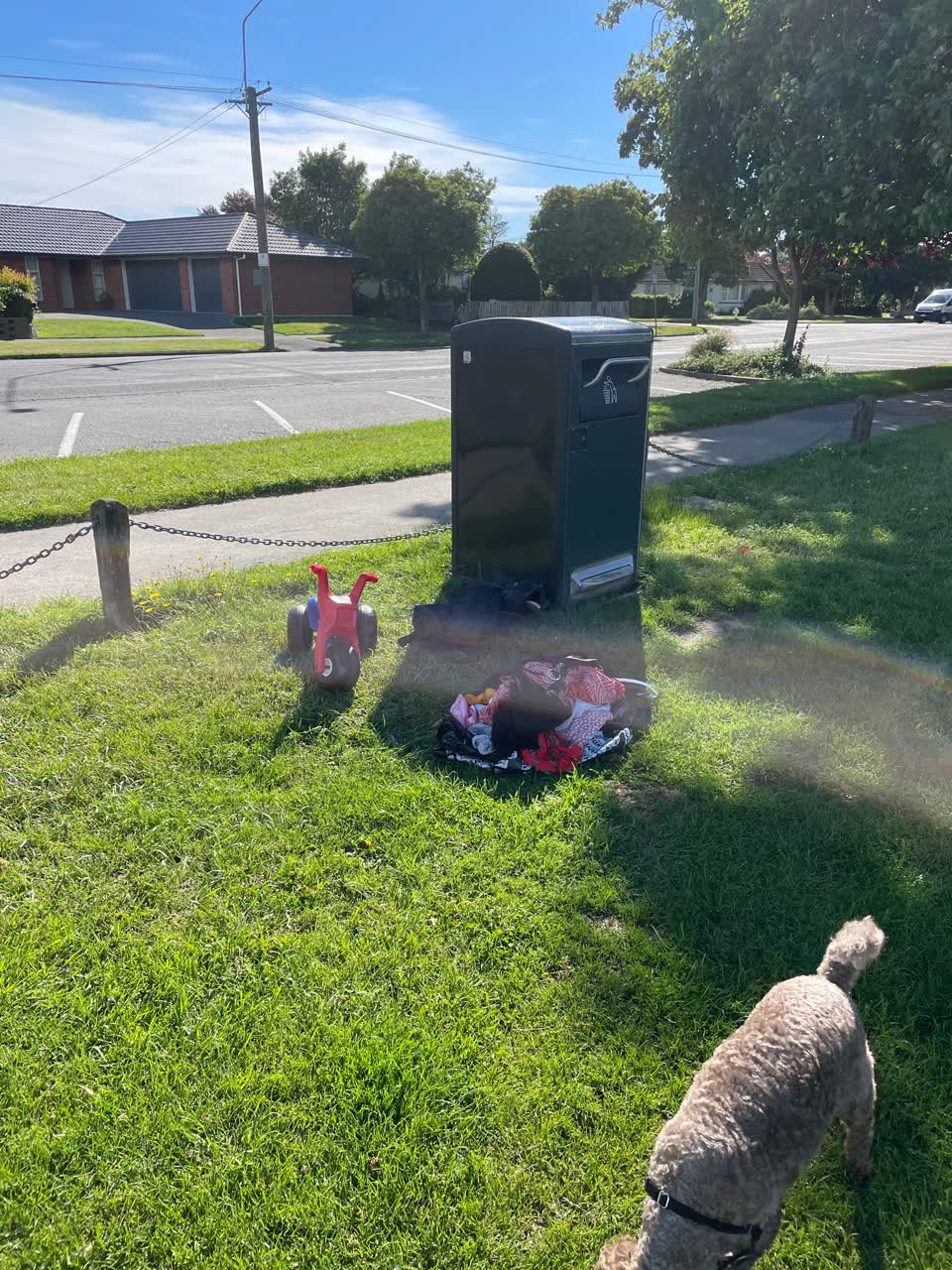 The photograph attached to this parks report