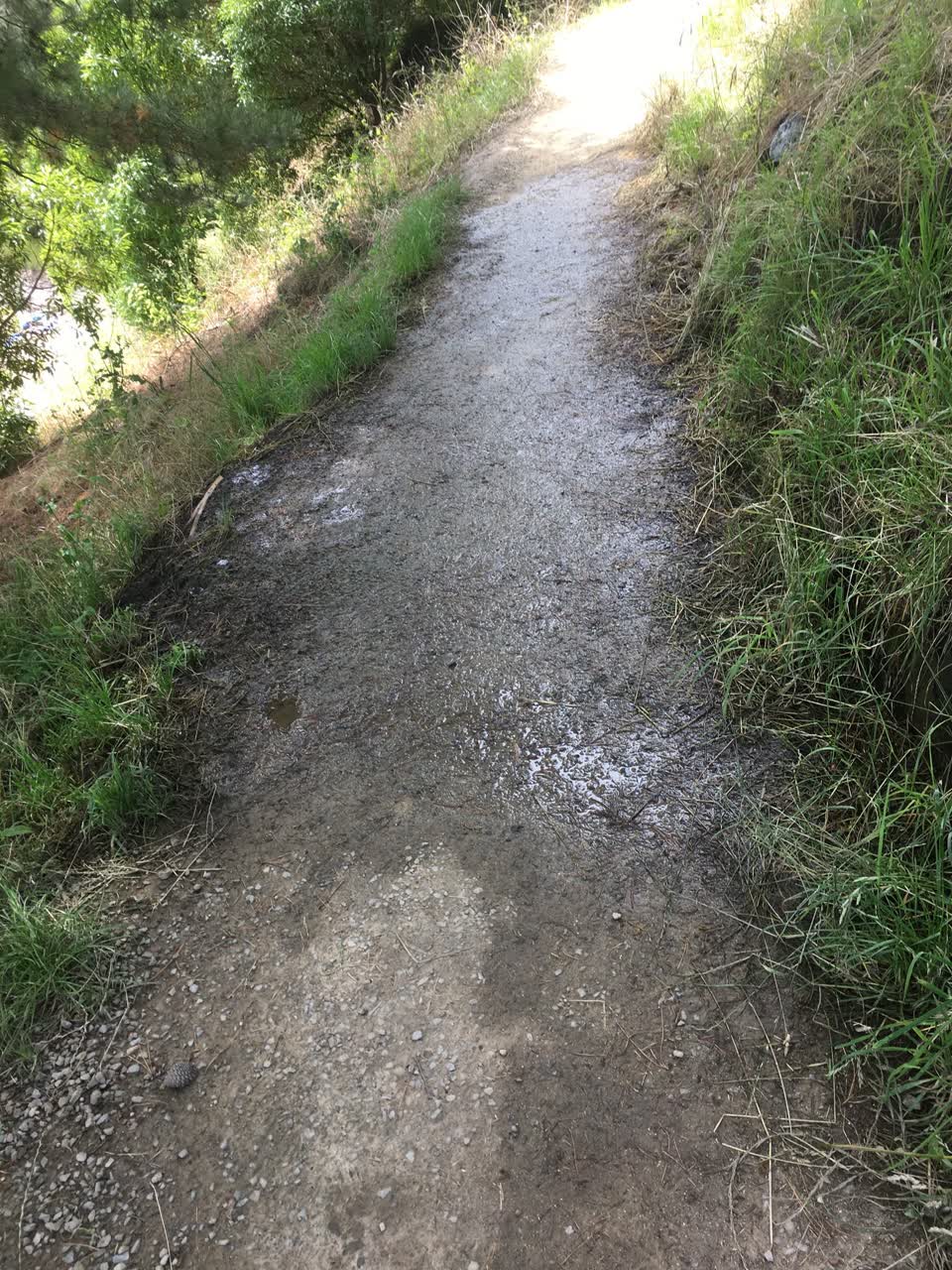 The photograph attached to this parks report
