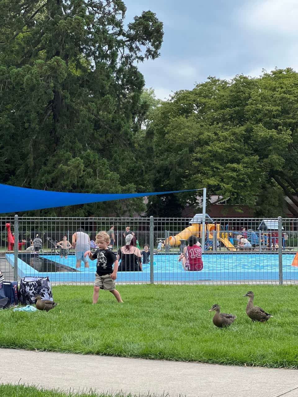 The photograph attached to this parks report