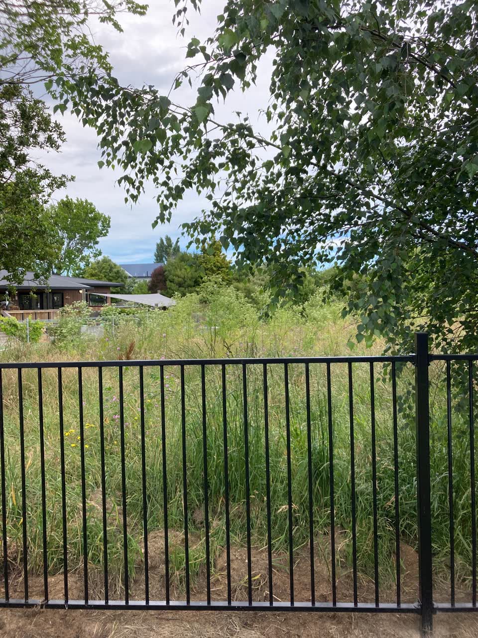 The photograph attached to this parks report