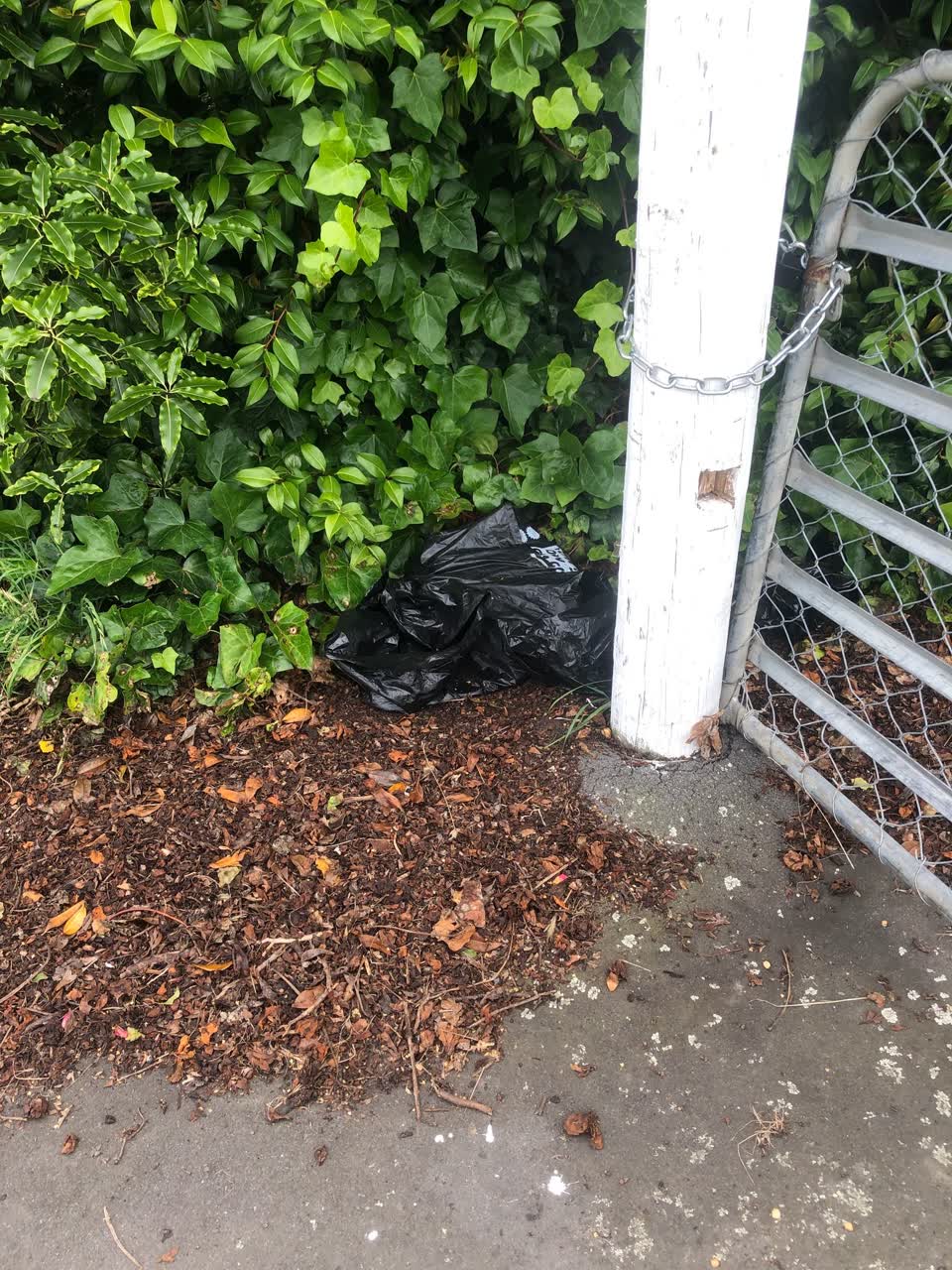 The photograph attached to this rubbish/recycling report