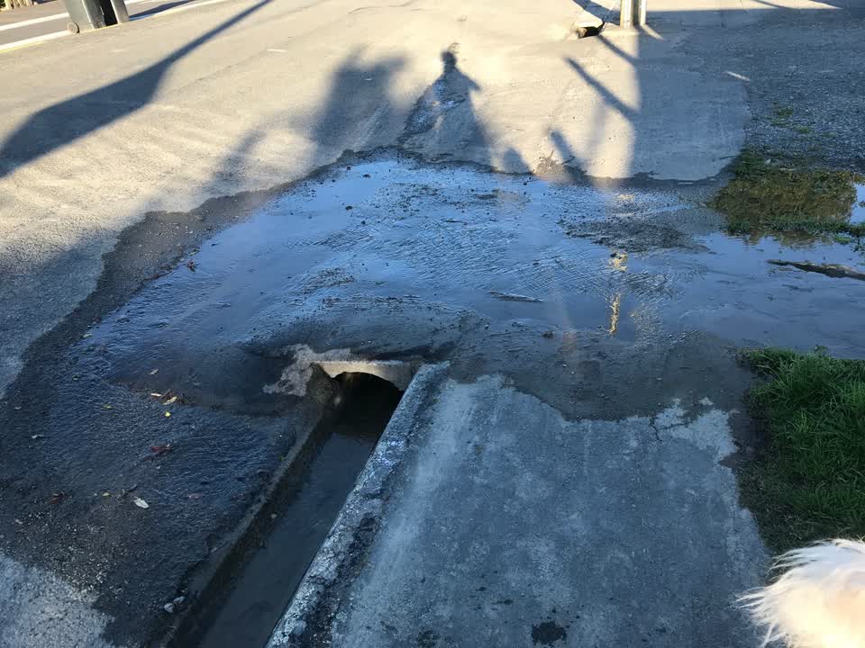 The photograph attached to this wastewater/stormwater report