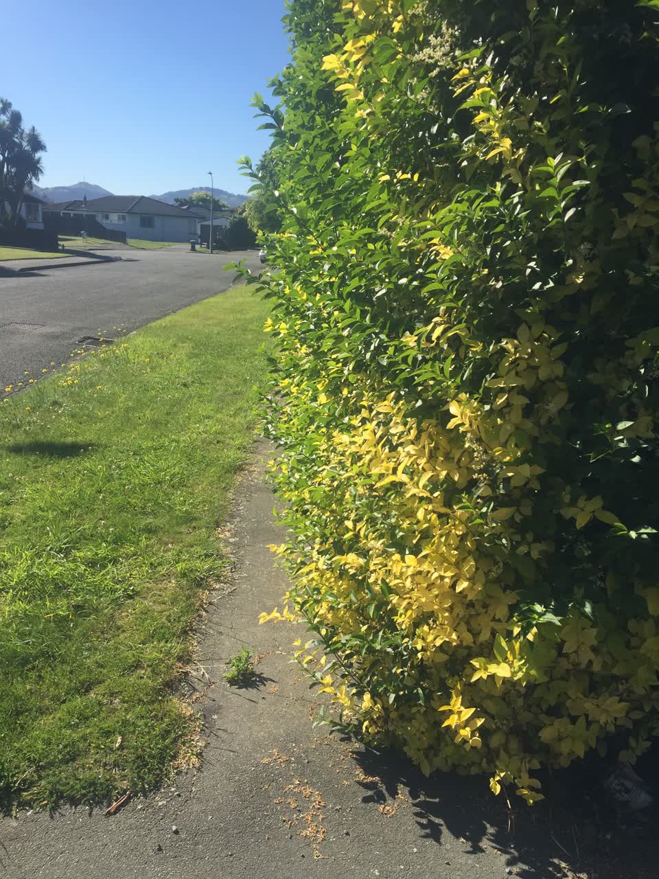 The photograph attached to this roading/streets report