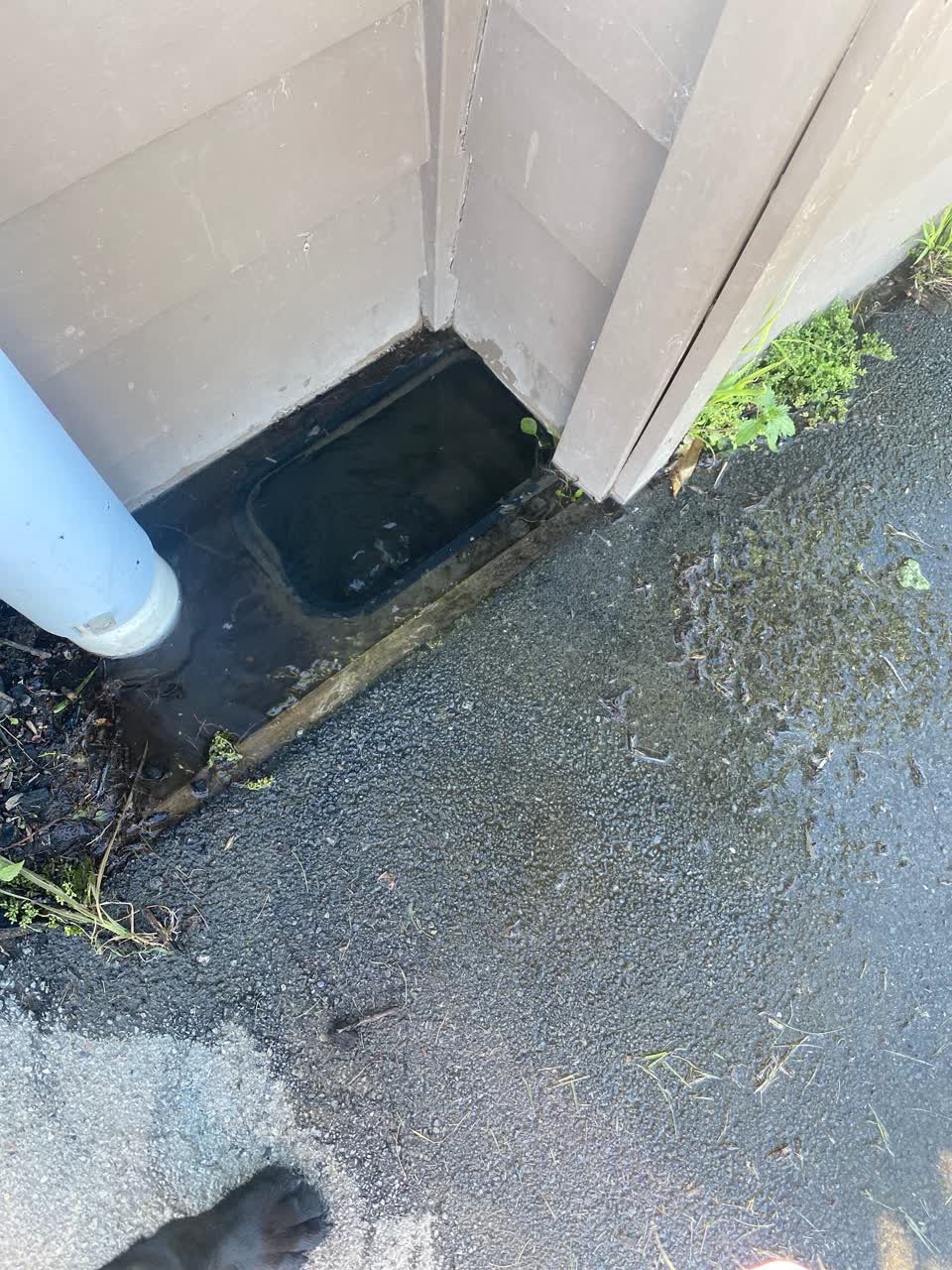 The photograph attached to this water leak report