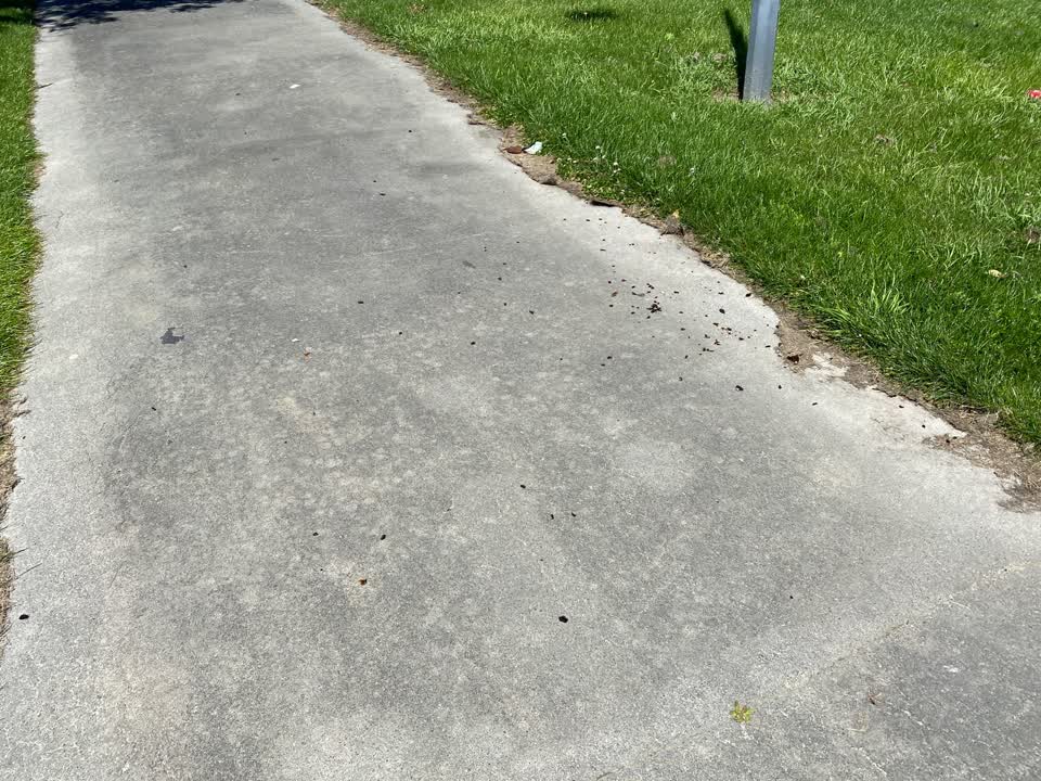 The photograph attached to this parks report