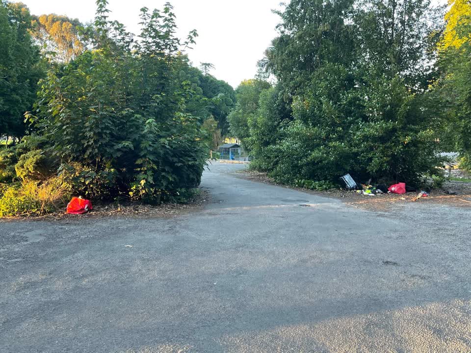 The photograph attached to this rubbish/recycling report