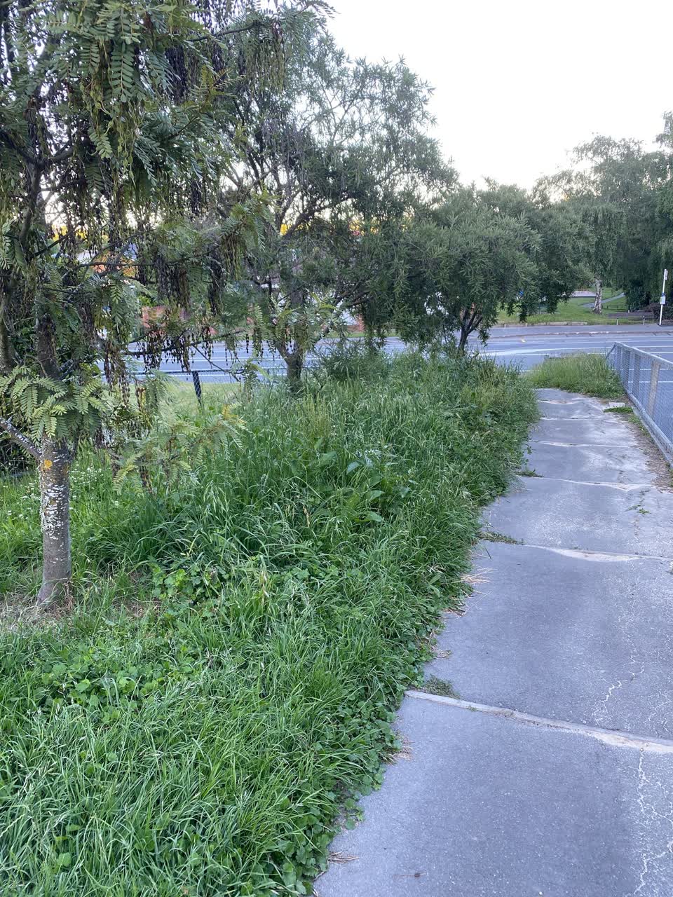 The photograph attached to this parks report
