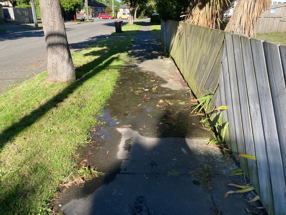 The photograph attached to this water leak report