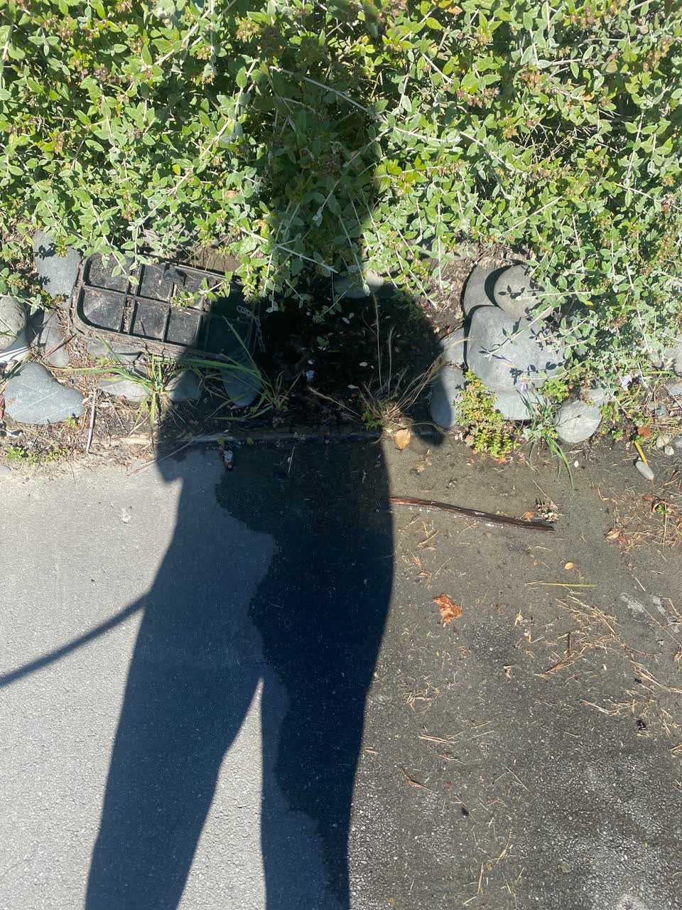 The photograph attached to this water leak report