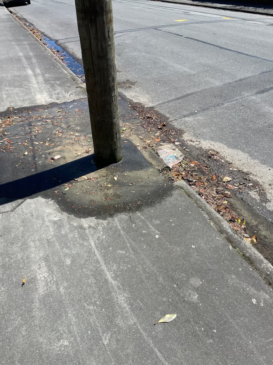 The photograph attached to this water leak report