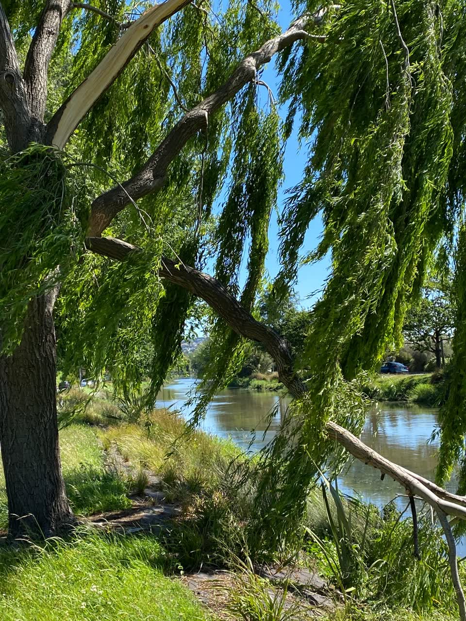 The photograph attached to this parks report