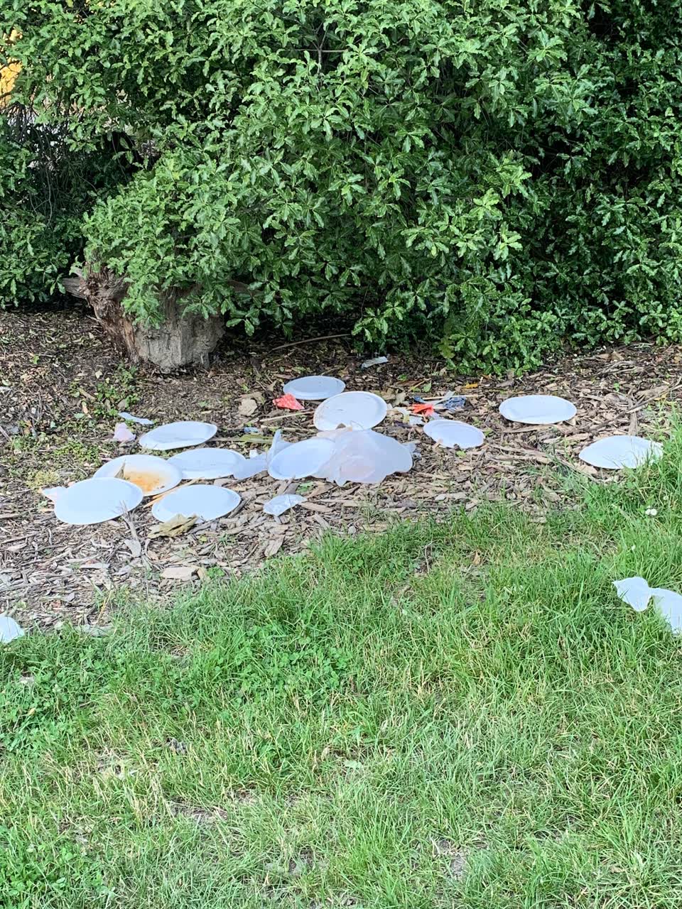 The photograph attached to this rubbish/recycling report