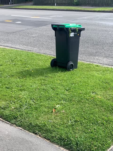 Rubbish/Recycling, a report photo