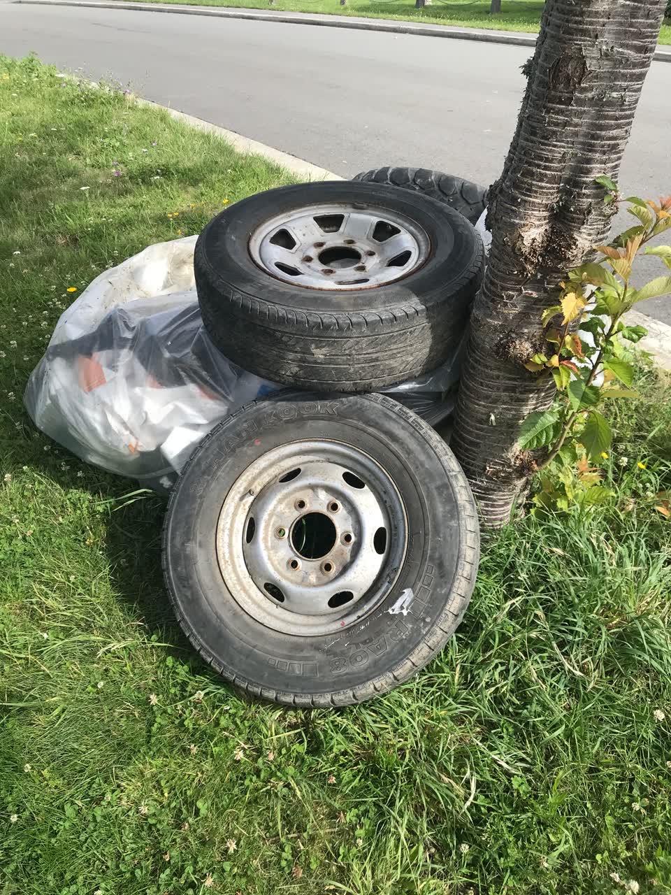 The photograph attached to this rubbish/recycling report