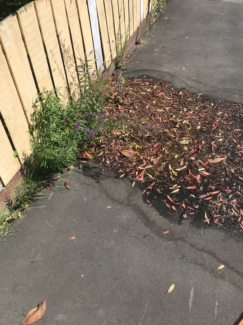 The photograph attached to this water leak report