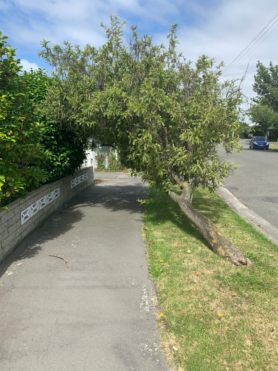 The photograph attached to this roading/streets report