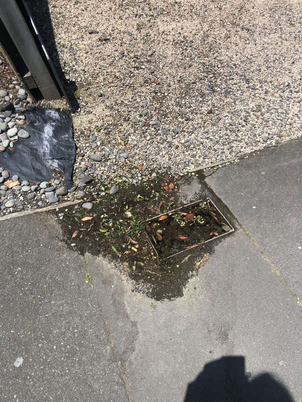 The photograph attached to this water leak report