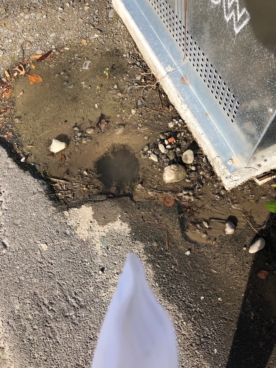 The photograph attached to this water leak report